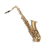 Sorgen Sie für eine schöne Klangqualität, kein Rauschen, eine gute Tastenrückmeldung und ein perfektes Erscheinungsbild beim Drücken mit den Fingern.