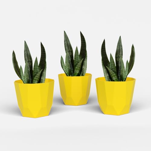 Image of YUCCABE ITALIA SHERA Hexa Plastic Planter Pot for Plants | Decorative Flower Pot | UV Protected Lightweight Indoor Outdoor Gamla for Home Decor, Balcony, Garden & Living Room