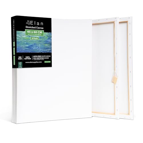 Elan Lienzos Preestirados 45x60, 6 PACK 100% Algodón Lienzos para Pintar Rectangular, Canvas para Pintar 280GSM, Lienzo 45x60, Painting Canvas