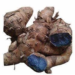 Kali Haldi Or Black Turmeric Or Narkachur Or Narkachoor Raw and Natural For Laxmi Pooja and other rituals and ayurved 100 gram