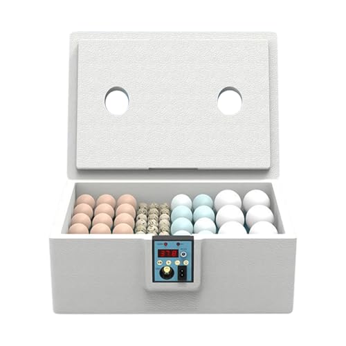 Incubadoras de pollo para incubar huevos, incubadora de huevos | Control inteligente de temperatura, caja de incubación de aves de corral para laboratorio, ciencias, aula, escuela en casa