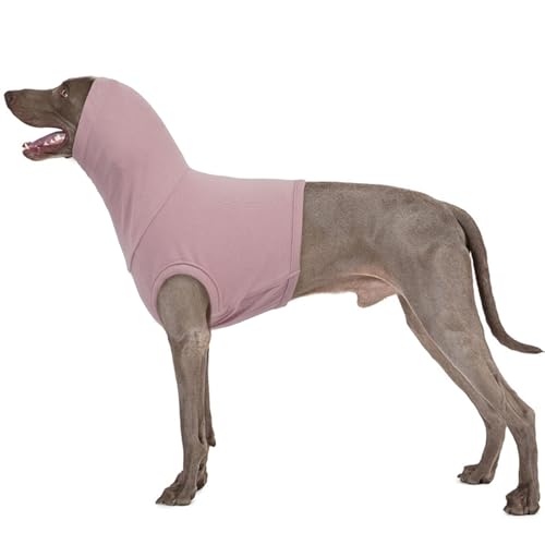 Orejeras para Perros Ruido, Orejeras con Cancelación de Ruido para Perros Sombrero para Perro Calentador de Cuello y Orejas Perros Protector Orejas Perro Body Postoperatorio Perros(Púrpura, 3XL)