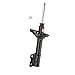 KYB 335055 Excel-G Gas Strut