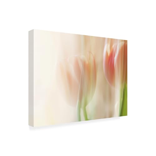 Wrapped Canvas Wall Art - Heidi Westum 'Shy Tulips' Wall