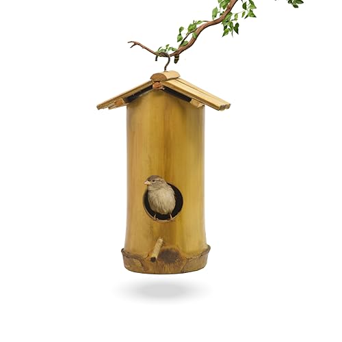 Skybeings Hanging Bamboo Bird House/Bird Nest/Bird Cage/Sparrow House (B0CR7ZHSVD) Amazon Price History, Amazon Price Tracker