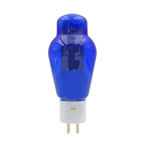 Tube WE300B mise à niveau 4300B pour amplificateur HiFi de salon