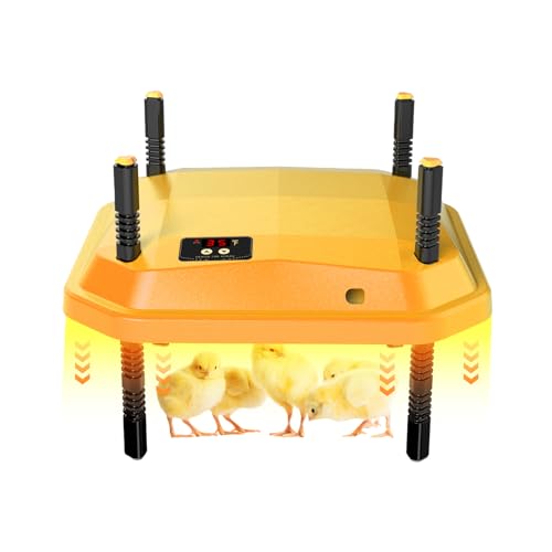 The 8 Best Heat Lamps For Babies Guide