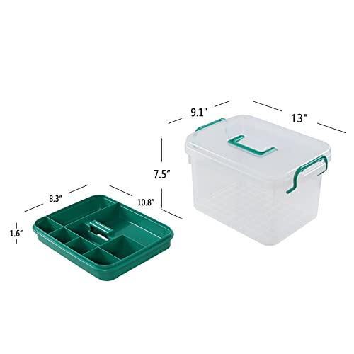Image of Xyskin Clear Medicine Organizer Storage Box with Tray, Plastic First Aid Box Empty, Thickened Medicine Container Chest, Multipurpose Medical Case Caddy with Lids Handles