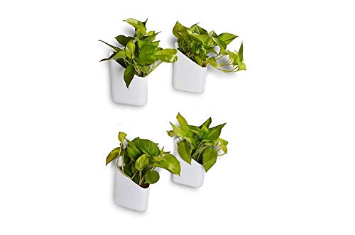 'Trendy Home' Prism Shape wall mount planter for Indoor/Outdoor | planters for Garden/Balcony vertical gardening Decor | Without Plant (color-White, set of 8 Pots)