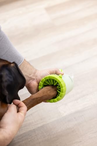 Kerbl Pet Pfotenreiniger, grün, 11 cm, Ø9 cm, Hundepfoten Reiniger, Katzenpfoten Reiniger, Kunststoff, Hunde, Katzen