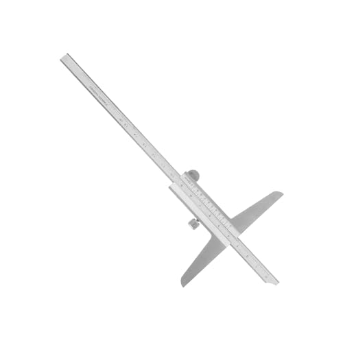ERYUE Vernier Caliper�A100���V�i����э��i���̃X�e�����X�|��������ׂ������ӁA���[�U�[�����A�@�B�v���Z�X�p�̈��萫�\�A�Y�Ɨp�O���[�h0-150mm�A0-200mm�A0-300mm����͈� (0-150mm)