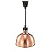 JIAWANSHUN D Type Food Warmer Lamp Food Heat Lamp Warmer with Lamp 250W 290mm (Champagne)