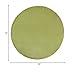 Nourison Essentials Indoor/Outdoor Green 6' x Round Area Rug, Easy Cleaning, Non Shedding, Bed Room, Living Room, Dining Room, Backyard, Deck, Patio (6 Round)