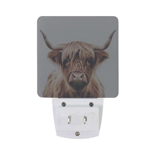 Image of Brown Highland Cattle Cow Night Lights 2 Pack Plug-in Wall Led Nightlight Auto Dusk-to-Dawn Sensor Lamps for Bedroom Kitchen Bathroom