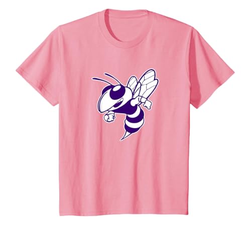 Deep Creek High School Hornets T-Shirt, Youth, Pink, 4T