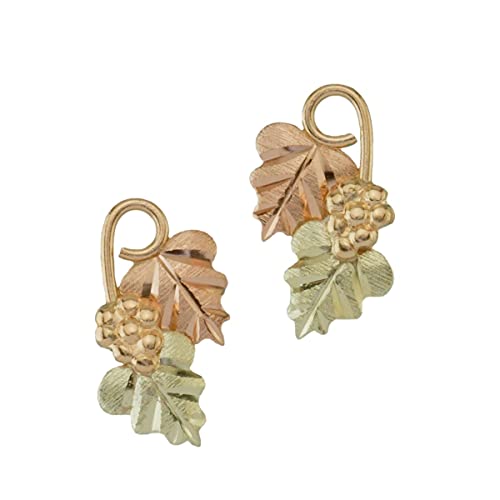 Black Hills Gold 10K Earrings from Coleman2