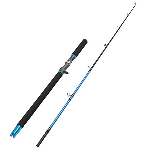 Fiblink 6' Saltwater Jigging Casting Rod 2-Piece Graphite Boat Fishing Rod (30-50lb/50-80lb/30-80lb) (30-50-Pound)