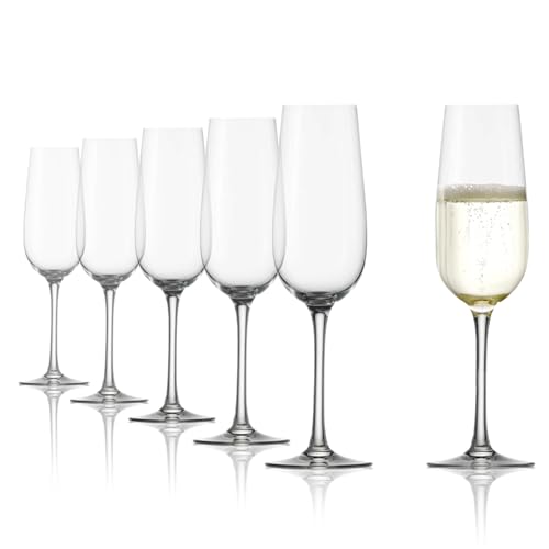 Stölzle Lausitz Copas de Champán Weinland Set de 6, 200 ml – Elegantes Copas de Cristal Ideales para Prosecco & Vinos Espumosos – Aptas para Lavavajillas & Resistentes, Made in Germany