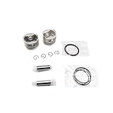 moteur le poulain a vendre Diamètre de l'article: 4.9cm Joints Moteur Jeu De Bagues De Piston De 49mm Convient À La Moto/Fit pour Virago XV250 V Star 250 Route 66 Keeway Cruiser Dorado Supershadow Vento V-Thunder Poulain