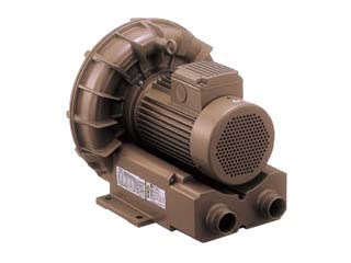 Oᑛ`Ou[VFZ501AN