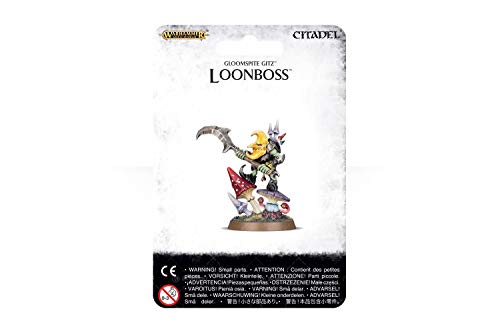 Warhammer Age of Sigmar Loonboss