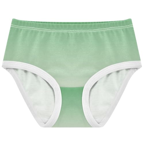Joisal Clover Green Seashell Gradient Toddler Girls Underwear 2t Cotton Panties for Girl Artistic Kids Briefs Undies