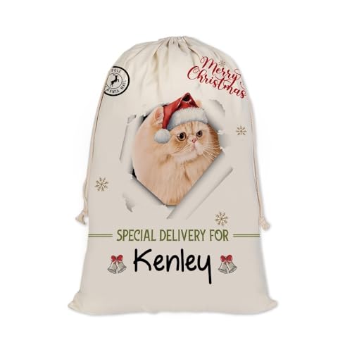 GABSHAIM Christmas Santa Sack with Persian Cat Custom Name Large Cotton Linen Santa Bag Special Delivery for Family Friend Xmas Decor 19.5 x 31.5 Inch Style 4