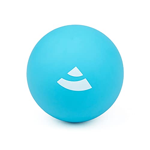 Massageball Faszienball klein, 6cm Durchmesser | Faszien-Massage-Ball für Fuß, Rücken, Schulter, Gesäß, Fersensporn | Triggerpoint-Ball für Faszien | aus PVC, latexfrei (SOFT, hellblau) Massageball Faszienball klein, 6cm Durchmesser | Faszien-Massage-Ball für Fuß, Rücken, Schulter, Gesäß, Fersensporn | Triggerpoint-Ball für Faszien | aus PVC, latexfrei (SOFT, hellblau)