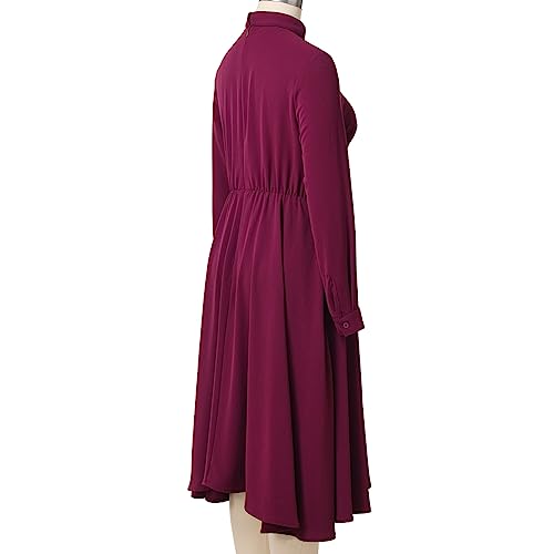 Image of FAD-4U Church Clergy Dress for Women Long Sleeve Rows Buttons A Line Dress with Tab Collar