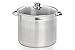 Cosy & Trendy TI004063C Ottawa Marmite Couvercle Verre Aluminium Diamètre 29,5 cm 16 L