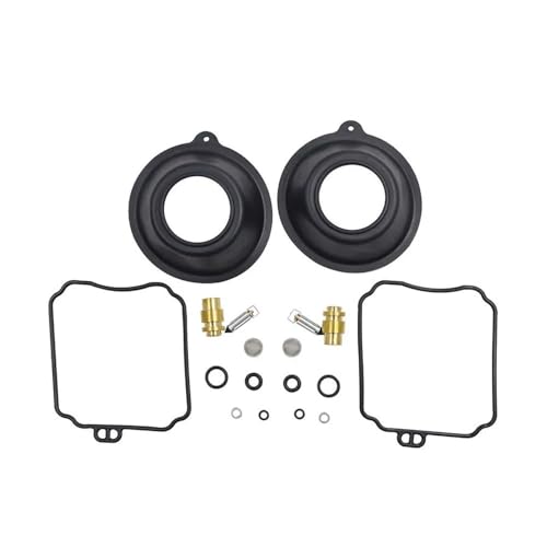 Kit de réparation de carburateur pour éliminer les ratés de Moto V-Star 650