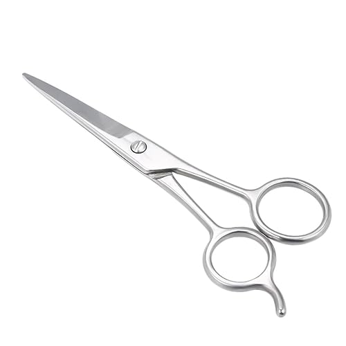 Baluue Forbici Per Barba e Sopracciglia Acciaio Inossidabile Strumento Pratico Per La Quotidiana Design Compatto e Facile Da Usare Colore Argento