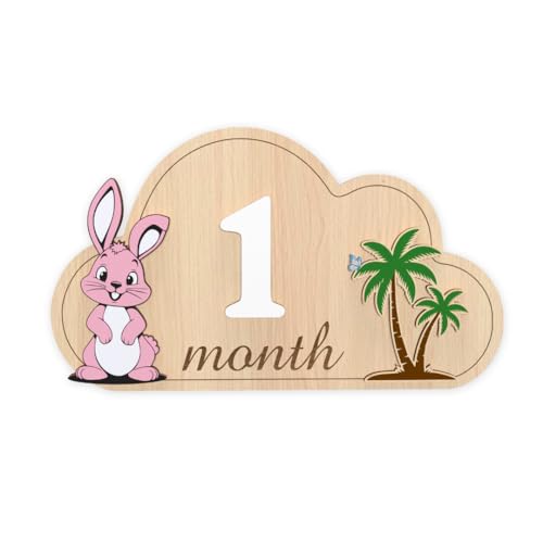 Baby Monthly Milestone Signs - Monthly Baby Milestone Signs (M2)