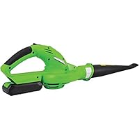 Algopix Similar Product 14 - SERENELIFE PSLHTM32 Electric Leaf