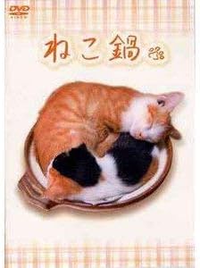ねこ鍋 Dvd Dvd 07 趣味 アダルトdvd Amazon アマゾン