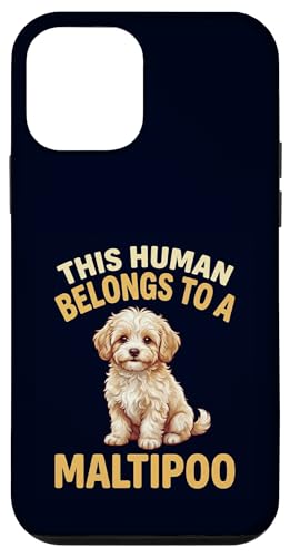 This Human Belongs to a Maltipoo���������� �}�}�ƃp�p �X�}�z�P�[�X iPhone 12 mini �p