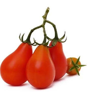 Sementes de Tomate Pêra Vermelho 2 gramas Saboroso Vaso Jardins Horta