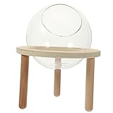 POPETPOP Hamster Bathroom Hamster Sand Bath Container Bath House Sandbox Toilet Bathtub with Wooden Holder Transparent Glass Toilet for Small Animals Pet