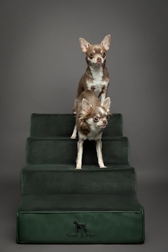 Escalier pour animaux Noah & Paw 4 marches pour monter sur le canapé - 7