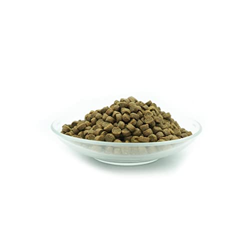 Bellfor Freiland-Schmaus Mini Getreidefreies Trockenfutter mit Huhn für kleine Hunderassen 2,5 kg - Ideal für kleine Hunde bis zu 9 kg mit schnellem Stoffwechsel