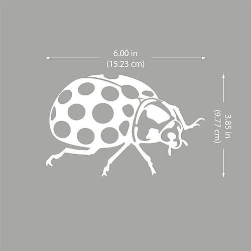 Image of WIRESTER 6 inch Clear Vinyl Decal Sticker Decoration for Car Window (Or Any Flat Surface) - Bug