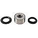 All Balls Racing 25-1734 Rear Wheel Bearing Kit