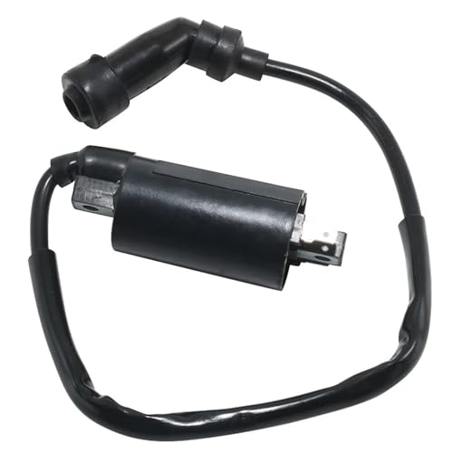 Bobina de encendido de repuesto para motocicleta SRV250 y Renaissa 4DN