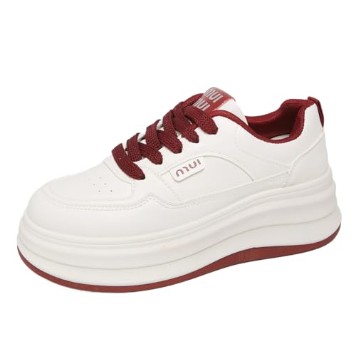 [SEINIES]  Xj[J[ fB[X C EH[LOV[Y  ₷ y 5Z` _bhXj[J[ ʊw C [XAbvV[Y RtH[g