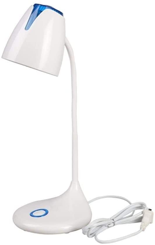 Lampe de bureau LED pour éclairer un terrarium miniature de fée