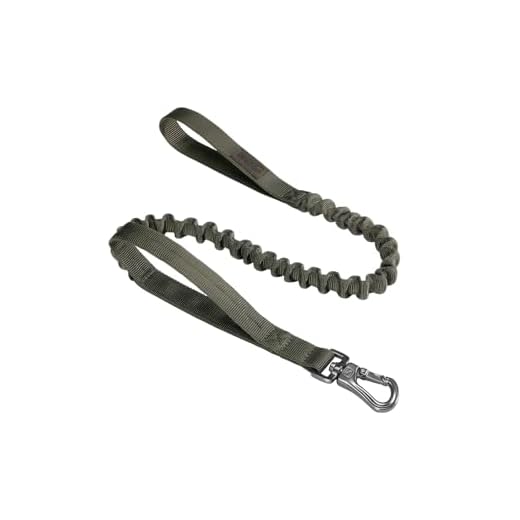 EXCELLENT ELITE SPANKER Tactical Bungee Hundeleine Militär Polizei Hund Training Leine Seil Seil mit 2 Kontrollgriffen(Olivgrün)
