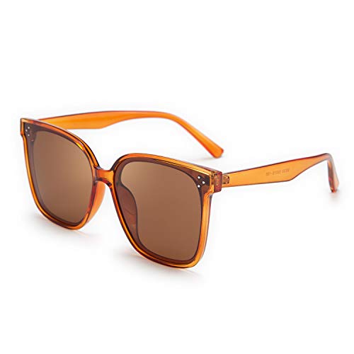 [FEISEDY] TOX fB[X Ό j TOX O 100UVی VbN t@bV TOX ^]p/s/ނ/oR ACEFA uh  蕨 sunglasses B2600