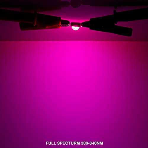 Image of CHANZON 10pcs High Power Led Chip 3W Full Spectrum Plant Grow Light