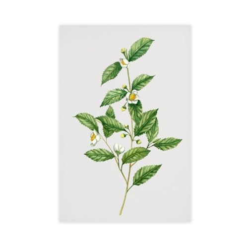 Poster arbre à thé en toile pour une ambiance zen dans votre cuisine