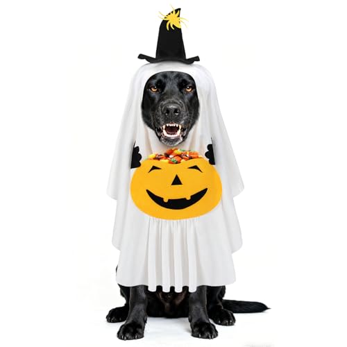 pvLLfB[|PbgtpnEBRX`[ - tbN&[ve[vtSɌŒ肳ꂽzCgS[XgRX`[^̃gbNIAg[gRXvp[eB[p̖ʔP[v